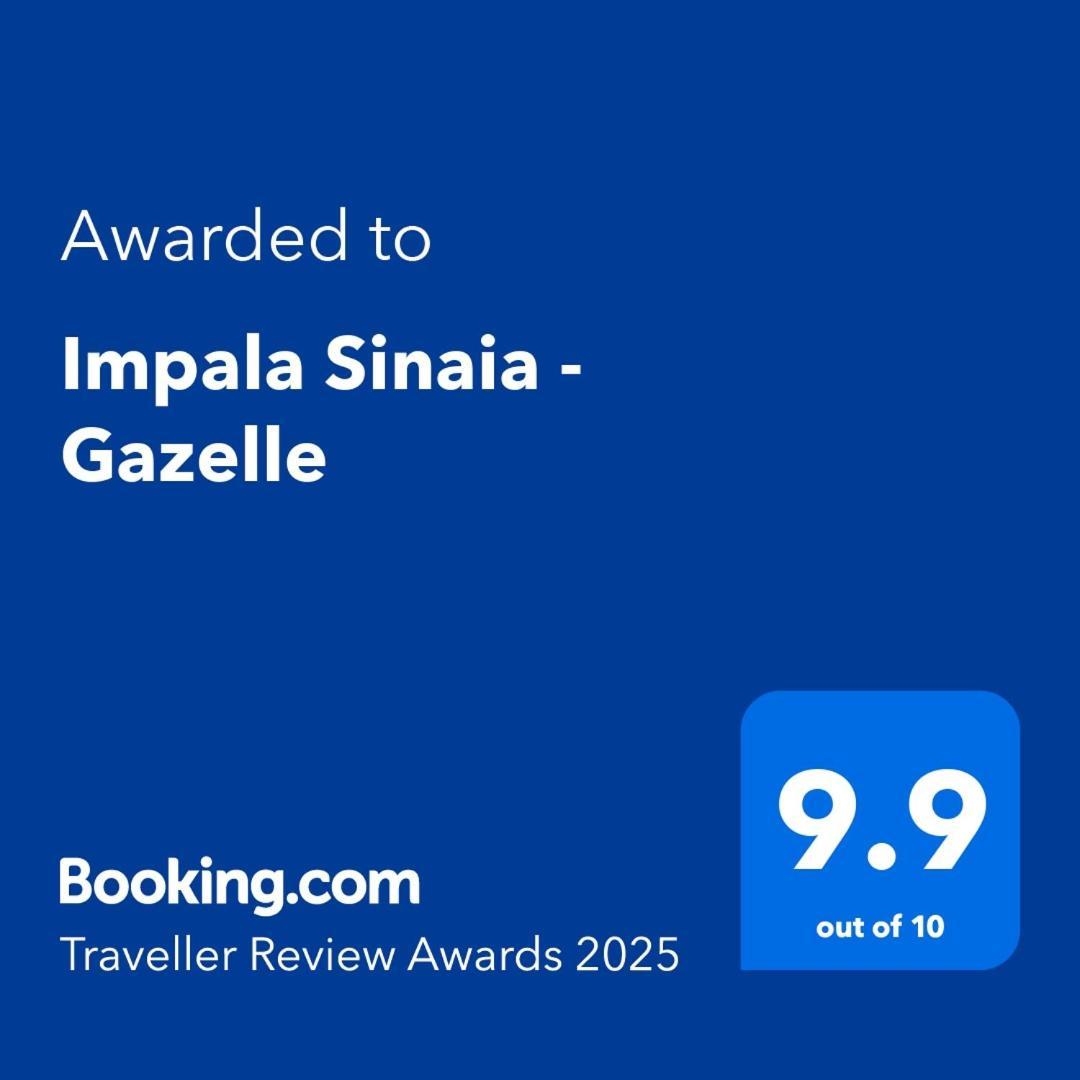 Ferienwohnung Impala Sinaia - Gazelle Exterior foto